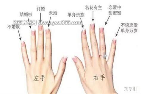 无名指是哪个手指图解,从左向右看第四个手指是无名指