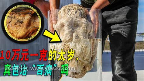 太岁多少钱一斤哪里有卖,价格在每斤800元到4999元