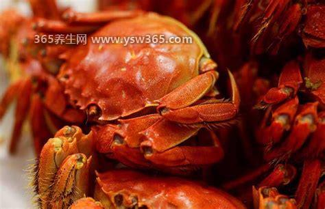 24小时之内死了的螃蟹能吃吗,是不建议食用的会让我们中毒