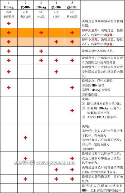 乙肝五项对照表正常结果图,正常结果五项检测全部阴性
