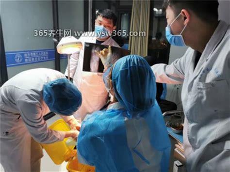 清创是什么意思,就是将伤口附近的污垢清理干净