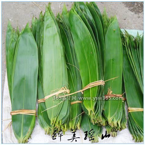 干粽叶怎么处理才能包粽子,放入清水中浸泡12小时左右