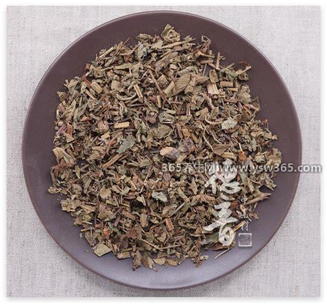 野生中药仙鹤草图片高清大全,它的高度可以达到1米