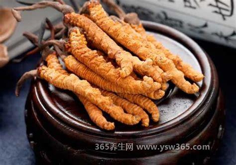 三类人不能吃冬虫夏草,阴虚火旺/儿童的人不能吃