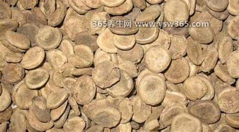 真实马钱子图片大全,表面是灰黄色的它也有银色的绒毛