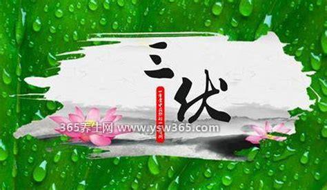 为什么三伏天排寒湿最好调理身体好得快,是一段高温期适合调理