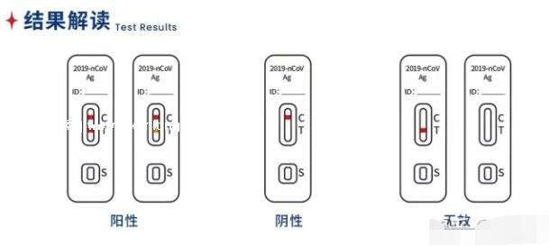 流感发烧会引起抗原变二条杠,不会导致阳性(错误说法)