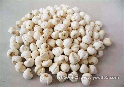 三种人不能吃贝母十大禁忌,风寒咳嗽不适合吃会加重症状