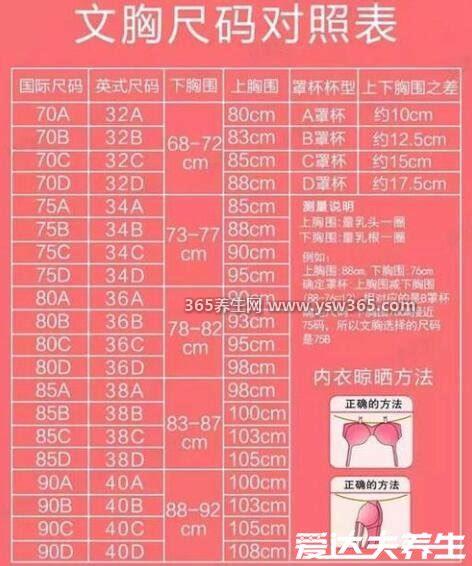 胸围怎么测量才标准,胸部的丰满处绕身体一圈测量