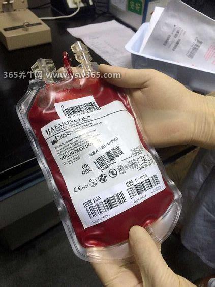 p型血是什么血型,是一种极其罕见的血型