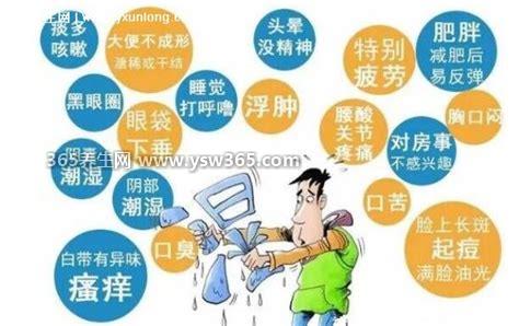 三种豆类除湿气