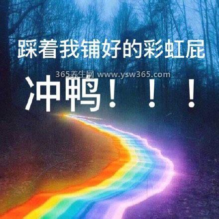 网络流行语彩虹屁是什么意思,是指用各种方式赞美某人