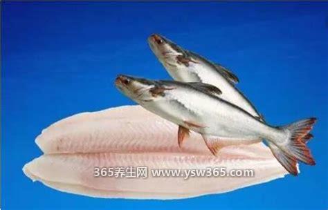 龙利鱼和巴沙鱼的区别,价格/外观/脂肪含量/鱼片厚度都不一样