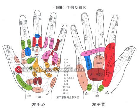 手部反射区图解与疾病高清图大全,相当于人体的颈部和躯干