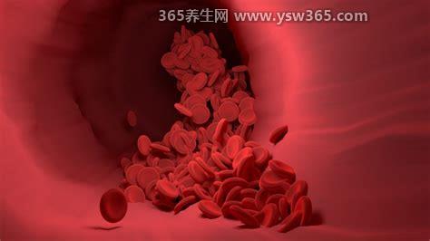 b型血为什么叫贵族血,B型血的人消化系统会更好