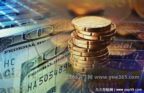 谁拥有1古戈尔元,没有人拥有1古戈尔元(1古戈尔可以买30个地球)