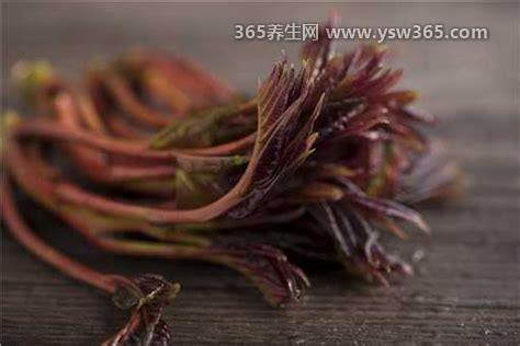 香椿含有致癌物已确定,含量不高/日常食用不足以致癌