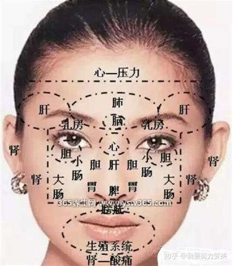 面部正确的刮痧方法图解,可以帮助我们促进血液循环