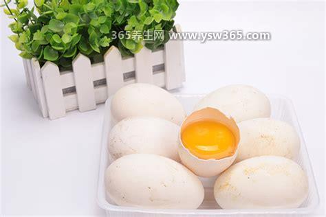 鹅蛋的功效与作用怎么吃最营养,男人吃鹅蛋可以壮阳