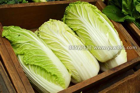 白菜属于什么科有什么营养价值,属于十字花科/含有大量的胡萝卜素