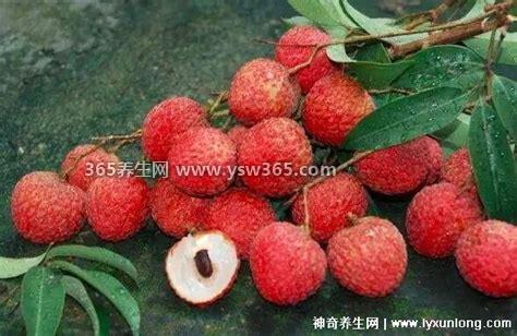 荔枝不能跟什么一起吃,不能和胡萝卜一起吃会破坏营养价值