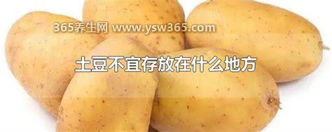 土豆不宜存放在什么地方,不要放在冰箱/阳台等任何会发芽的地方