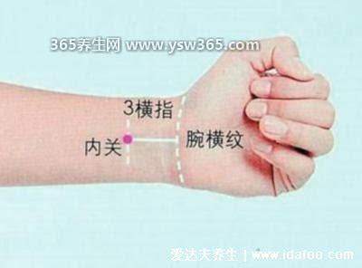 酒后难受9个缓解的办法是什么,吃柚子/西瓜/葡萄可以缓解酒后症状
