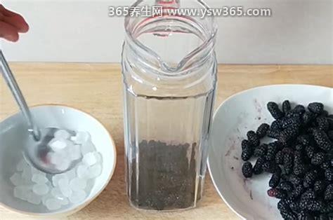 一斤桑葚可以泡几斤白酒,桑葚和白酒的比例要控制在1: 3