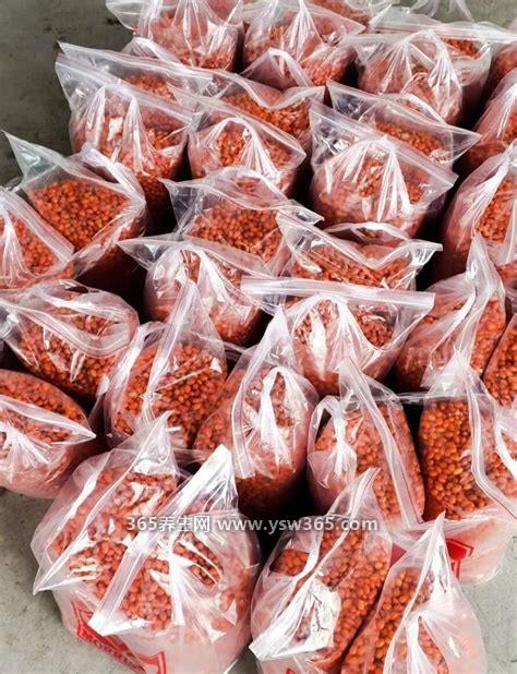 哪的沙棘原浆正宗牌子的品质好,新疆和宁夏的沙棘果品质更好