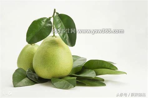 养肺最好水果第一名,雪梨/柿子/枇杷/柚子等水果都很好