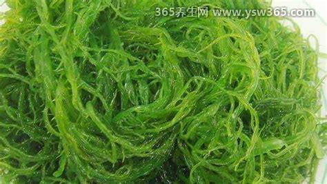 海发菜和发菜的区别,两者的生长环境可以说是天壤之别