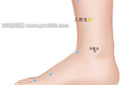 三阴交在哪里有什么功效,可以改善月经不调/排毒养颜