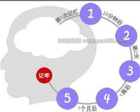 艾宾浩斯七步记忆法,可以大大提高我们的记忆效率