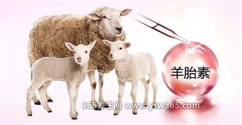 羊胎素是什么东西多少钱一针,是一种昂贵的物质/一般一万元起