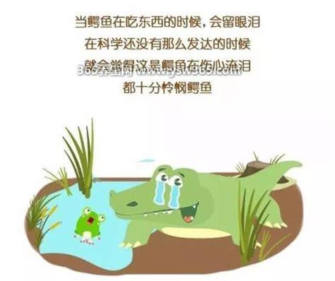 留下了鳄鱼的眼泪什么意思