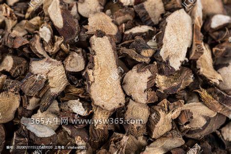 中药石菖蒲图片大全,根和茎常用作药材(很珍贵)