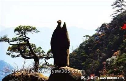 仙人指路是什么姿势,其实就是我们所说的双重叠