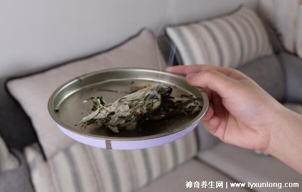 艾叶熏屋子的正确做法,一周一次(每次一小时)