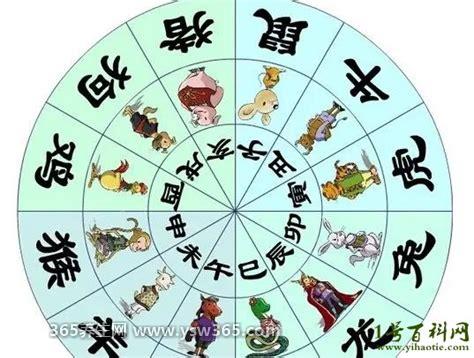 晚年守寡的5个属相,属鼠/马/蛇/猴/羊(和生活方式有关)