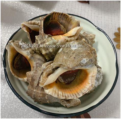 海螺的做法煮多长时间,一般煮海螺要几分钟或者十几分钟
