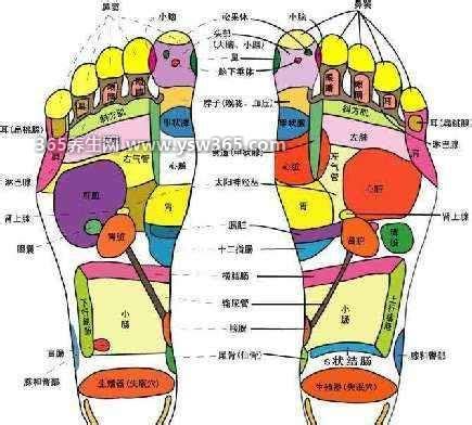 补肾壮阳多按摩6个部位,用手指摩擦耳朵可以补肾固精