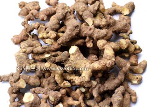 酒黄精的功效与作用及食用方法,有降血糖/缓解疲劳的功效