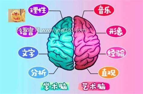 右脑型的人是什么样的人,他们学习艺术和音乐的能力很强