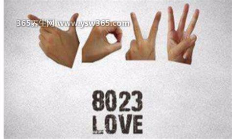 8023数字代表是什么意思,代表的就是love的意思