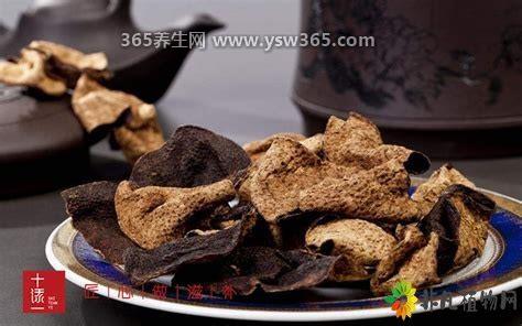 陈皮三种人不宜吃,不适合孕妇/胃酸分泌过多的人