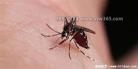 什么血型的人最招蚊子,据说是A型和o型/血型更活跃