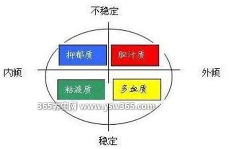 心理学的四种气质类型,粘液型/多血质型/胆汁质型和抑郁症型