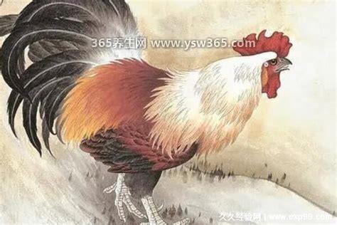 旭日东升打一个生肖数字是什么,指的是猴子和龙(数字9和4)