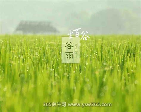 谷雨是什么意思,到了谷雨节气降雨量明显增多
