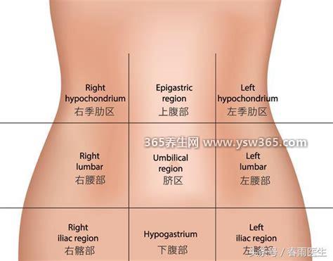 女性左侧腹疼痛位置图,最常见的疾病是妇科疾病